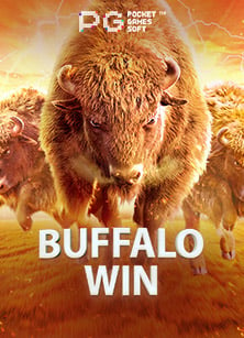 เว็บพนันบอลถูกกฎหมาย ufa700 รีวิวที่คุณไม่ควรพลาด